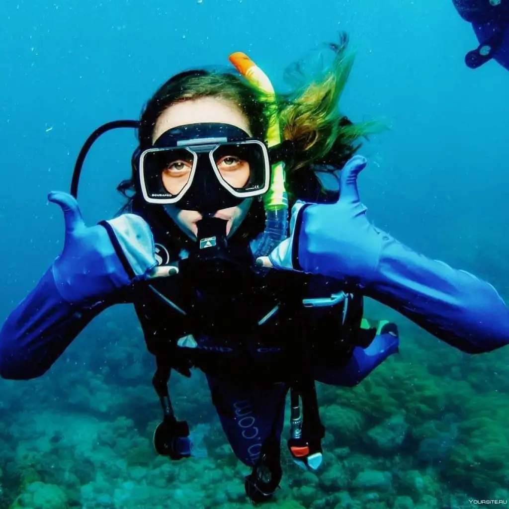 Diving ( 1 intro dive)- minimum 4 persons