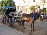Carriage Ride - 1