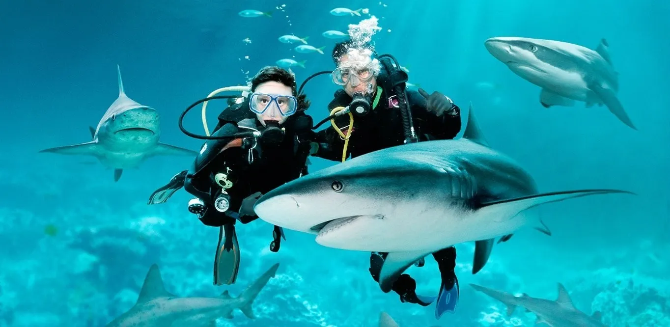 DIVING WITH SHARKS AT THE GRAND AQUARIUM - 3