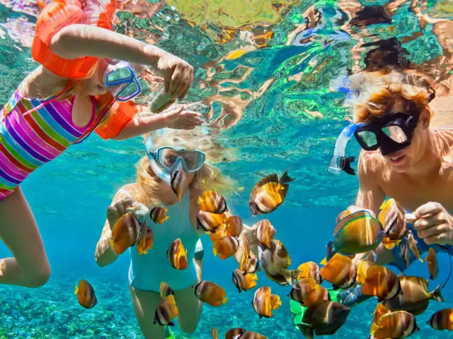 ELGOUNA FISH FARM - 1