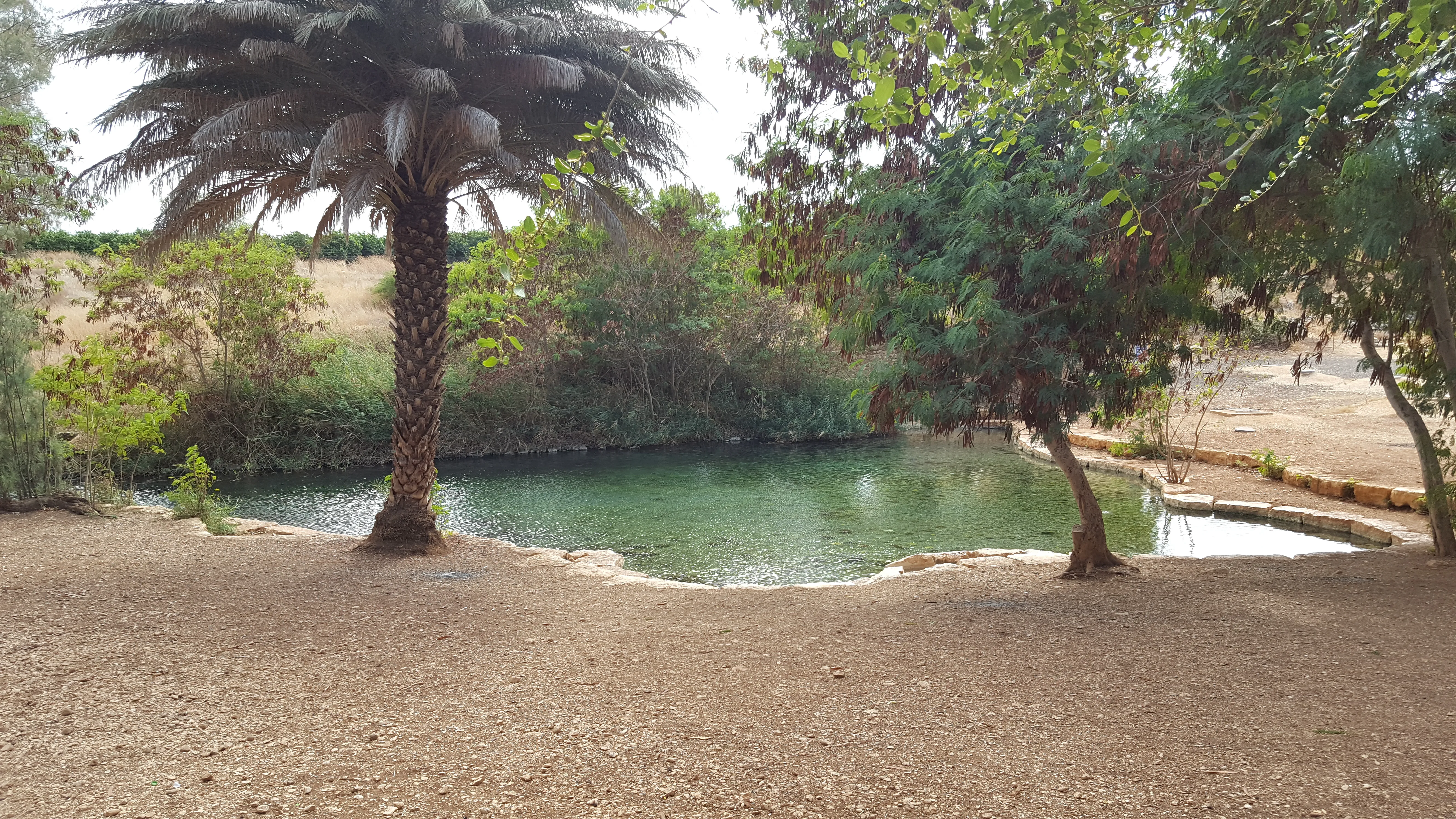 ELGOUNA FISH FARM - 8