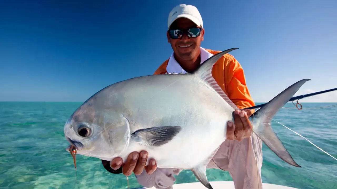 PROFESSIONAL FISHING - 8