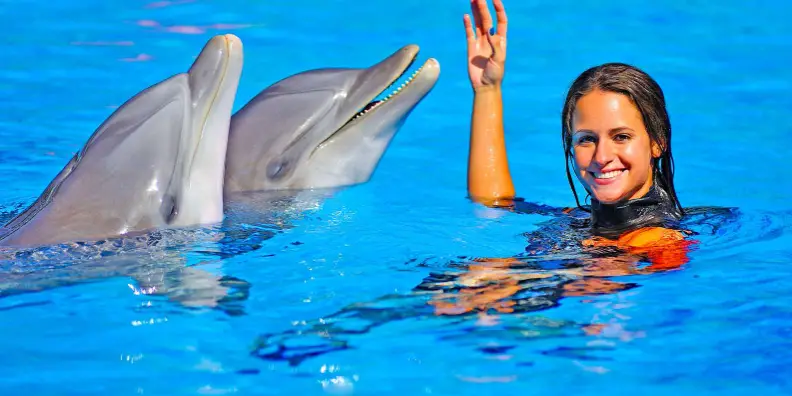 SWIMMING WITH DOLPHINS ( 5 MINUTES) - 11