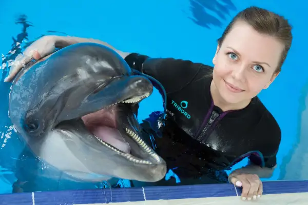 SWIMMING WITH DOLPHINS ( 5 MINUTES) - 4