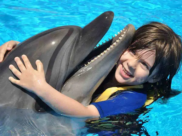 SWIMMING WITH DOLPHINS ( 5 MINUTES) - 8