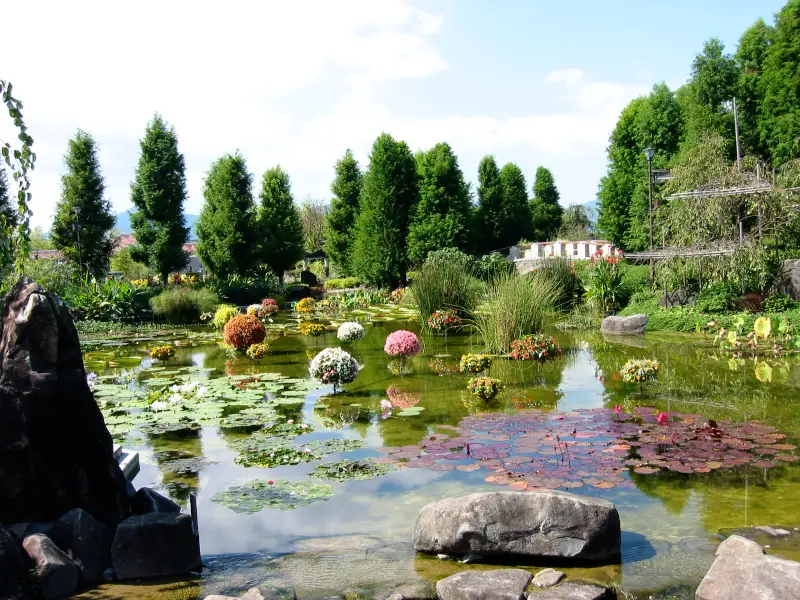 THE ASWAN BOTANICAL GARDEN - 4