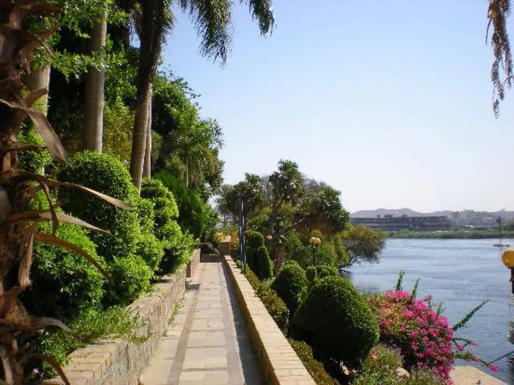 THE ASWAN BOTANICAL GARDEN - 6