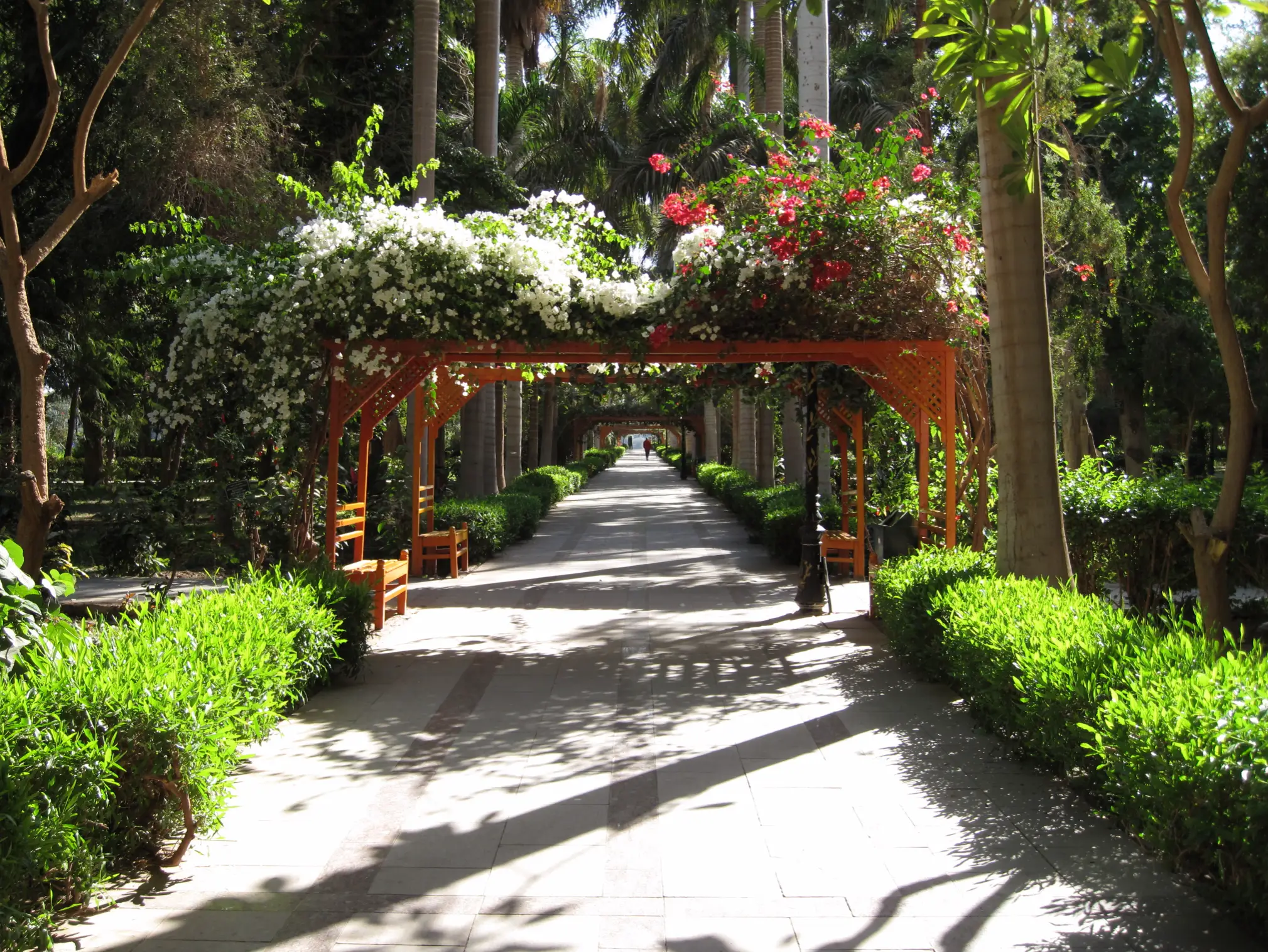 THE ASWAN BOTANICAL GARDEN - 9