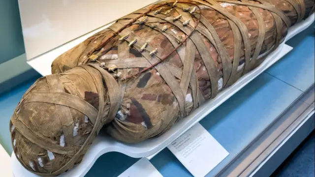 The Mummification Museum - 4