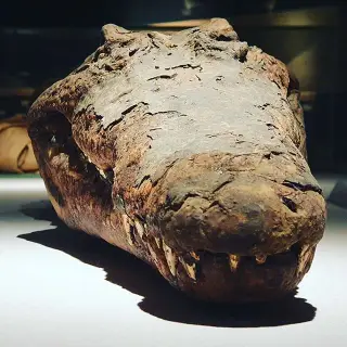 The Mummification Museum - 8