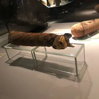 The Mummification Museum - 9