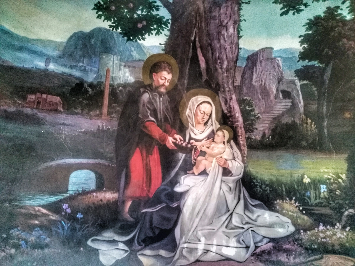 THE TREE OF VIRGIN MARY - 2