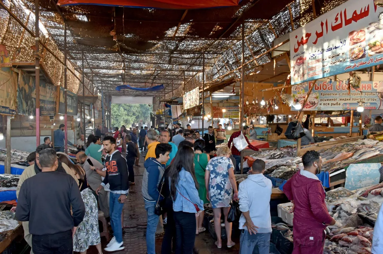 Hurghada Fish market