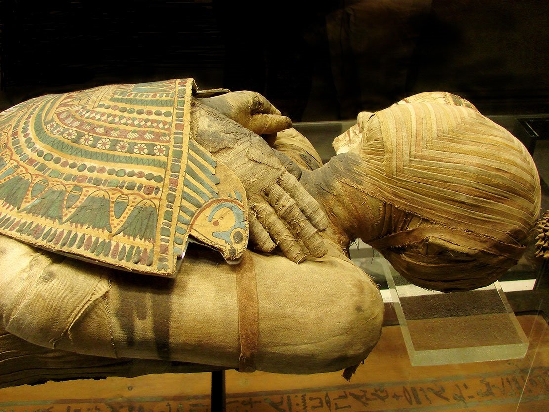 The Mummification Museum