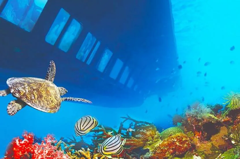 The Rise of Tourism on Egypt’s Red Sea: From Hurghada’s First Hotels to Sharm El‑Sheikh’s Global Fame