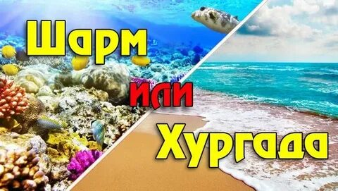 transfer Hurghada Sharm