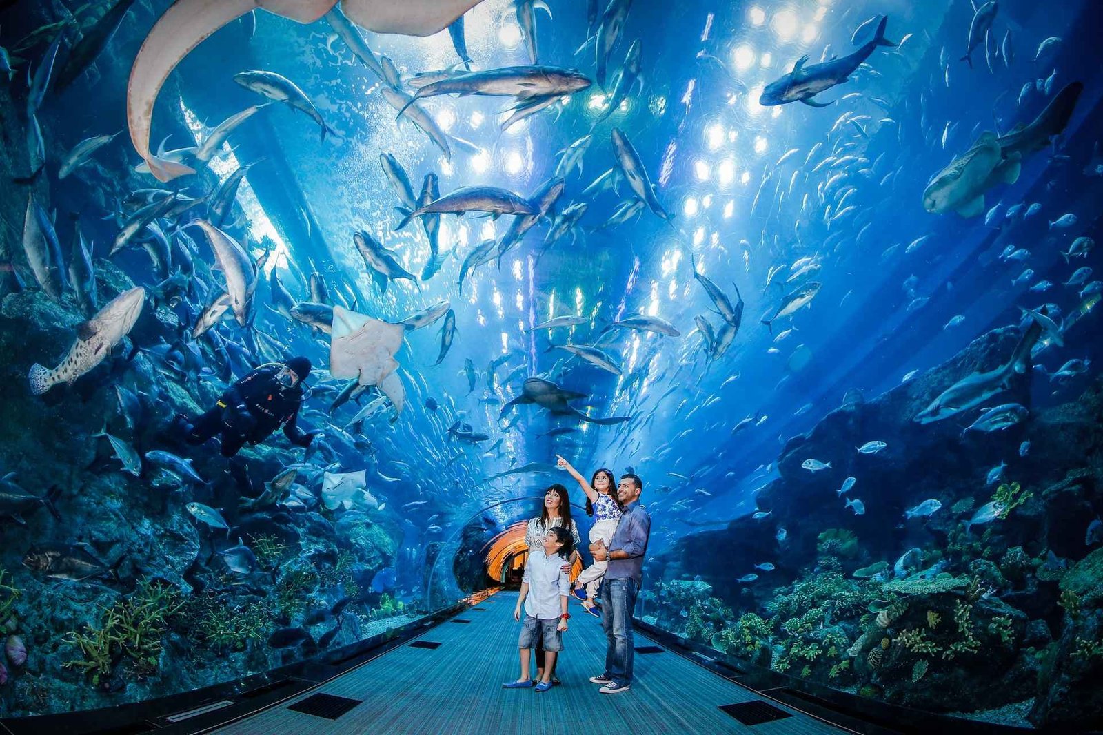 🐠 Аквариум в Хургаде: полный гид по Hurghada Grand Aquarium