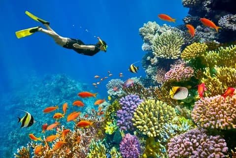 Эль Гуна дайвинг 🤿🌊🐠