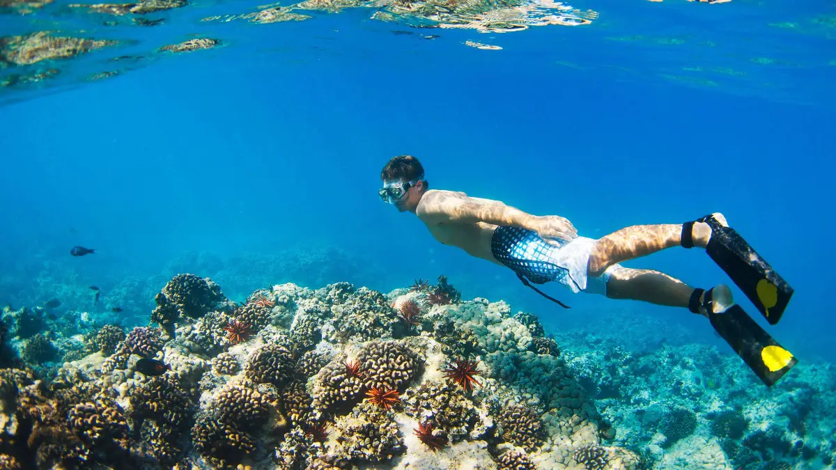 CORAL REEF SNORKELING