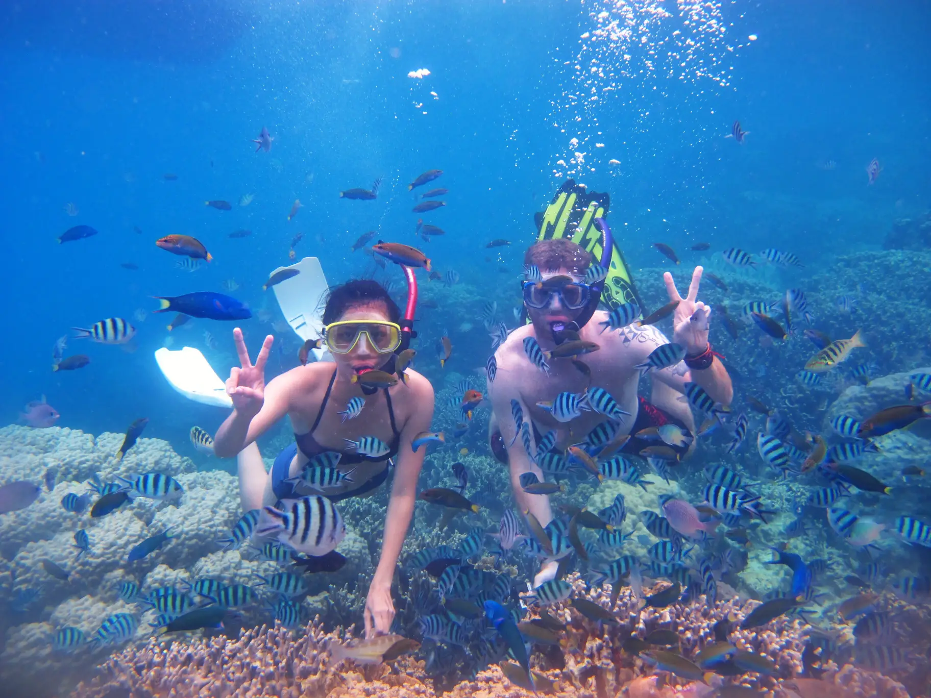 CORAL REEF SNORKELING