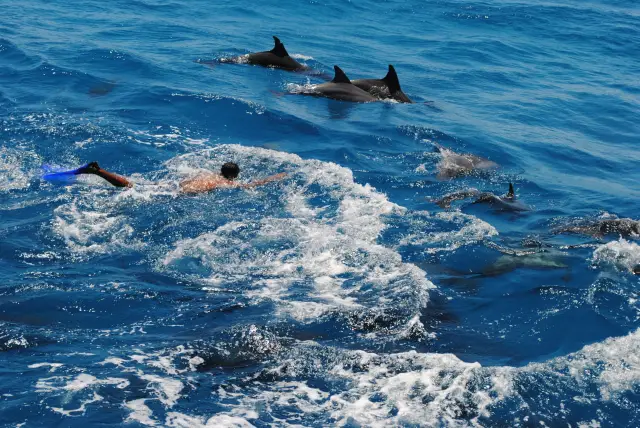 EL GOUNA – EGYPTIAN VENIEC ( 5 IN ONE)