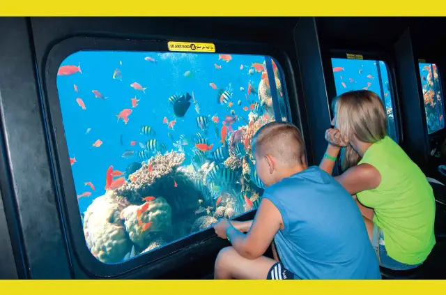 PIRATES SAILING BOAT