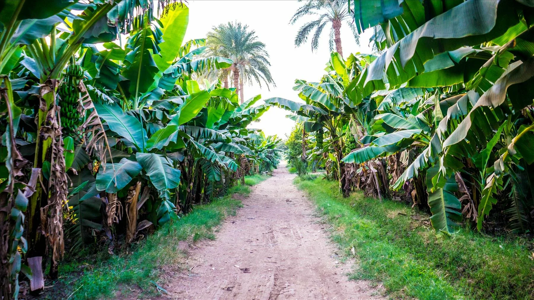 PRIVATE 1-DAY TRIP TO LUXOR