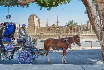 PRIVATE 3- DAY TRIP TO LUXOR