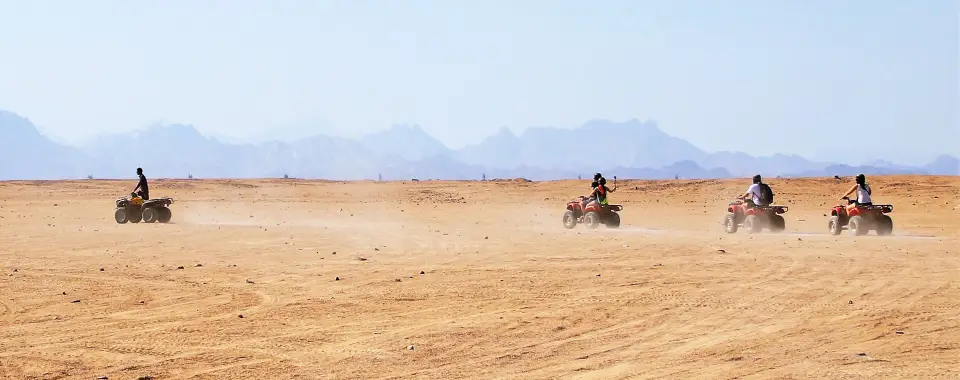 PRIVATE EVENING SAFARI