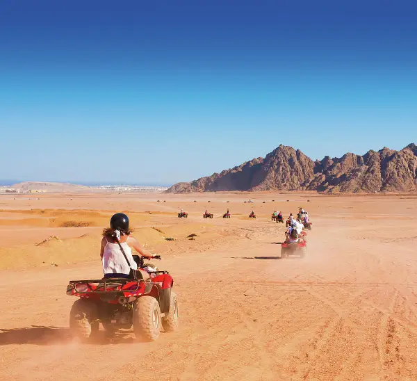 PRIVATE EVENING SAFARI