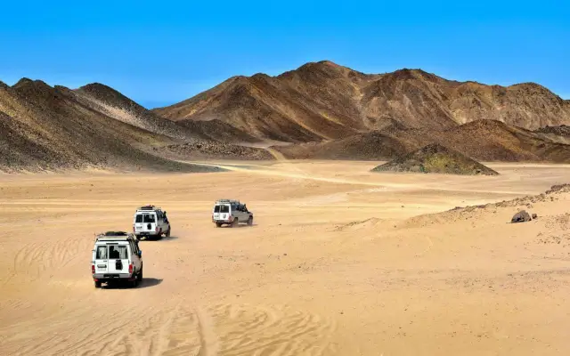 PRIVATE MORNING SAFARI