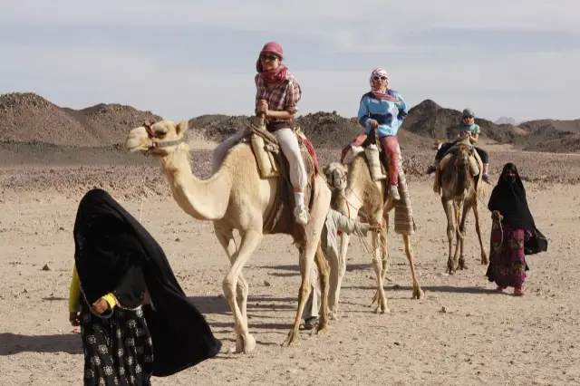 PRIVATE MORNING SAFARI