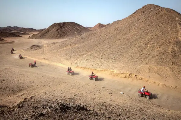 PRIVATE MORNING SAFARI