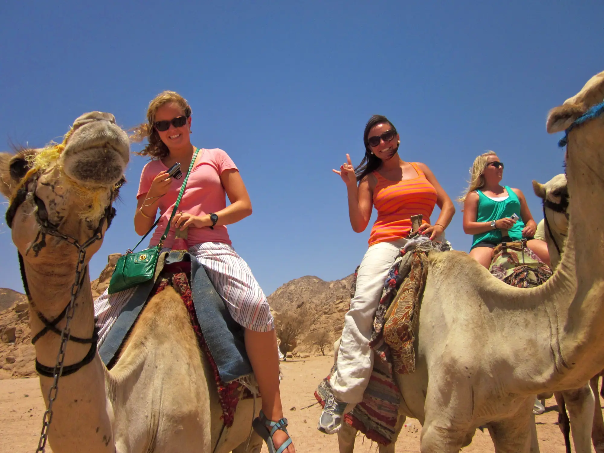 PRIVATE MORNING SAFARI