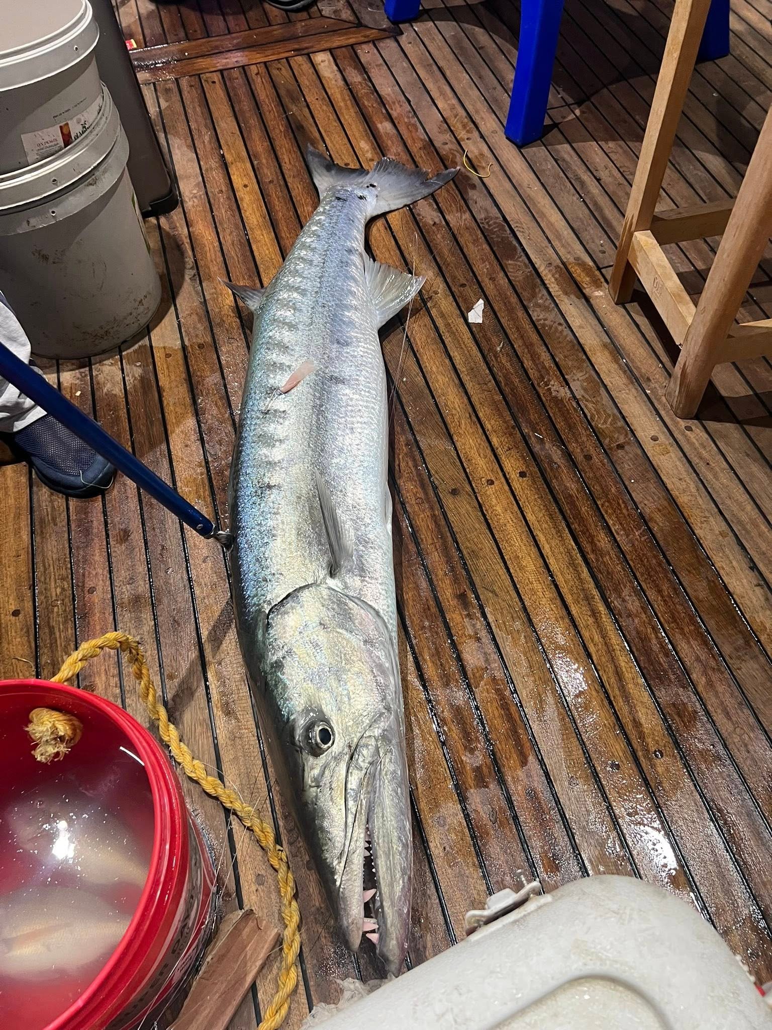 PRIVATE PROFESSIONAL FISHING