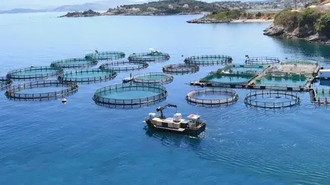 PRIVATE SAHL HASHEESH CITY TOUR