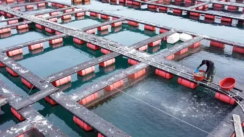 PRIVATE SAHL HASHEESH CITY TOUR