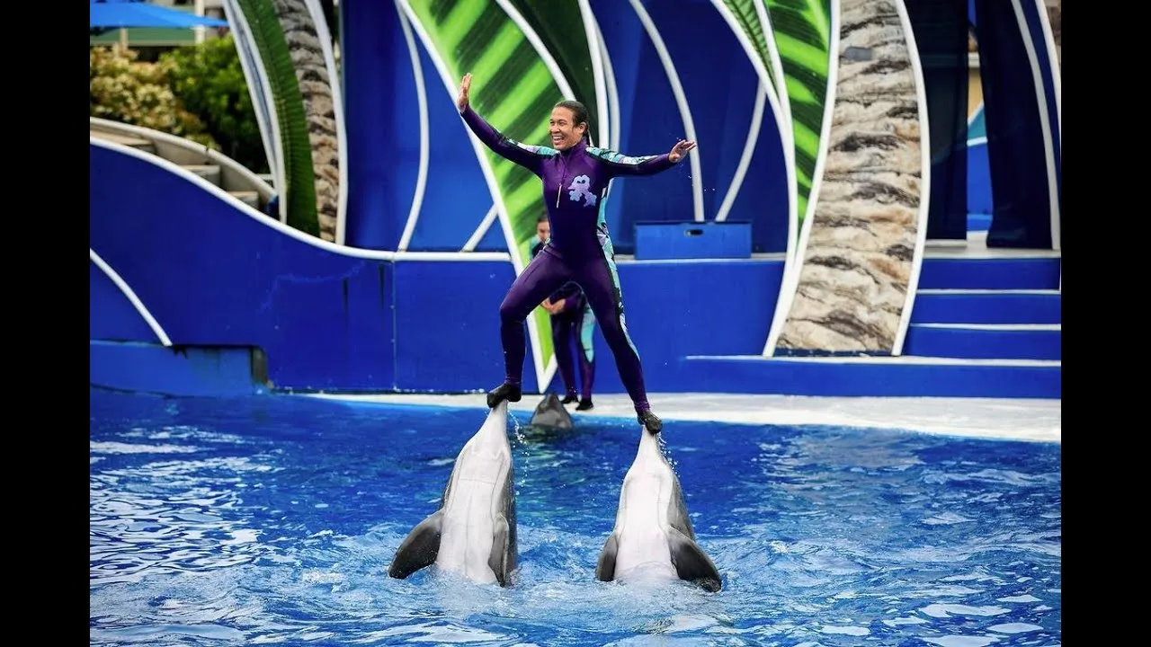 PRIVATE TOUR TO HURGHADA GRAND AQUARUIM AND DOLPHIN SHOW