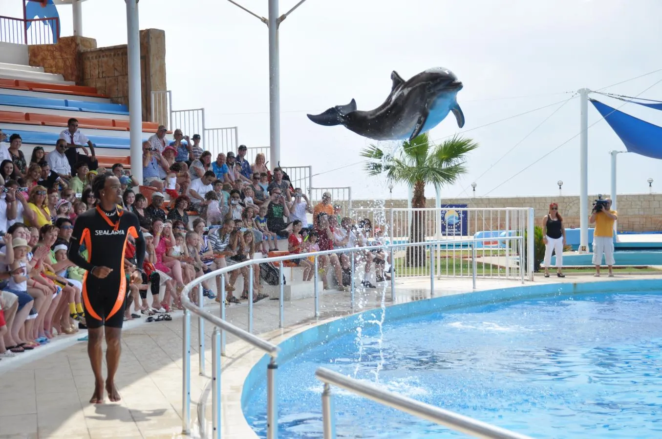 PRIVATE TOUR TO HURGHADA GRAND AQUARUIM AND DOLPHIN SHOW