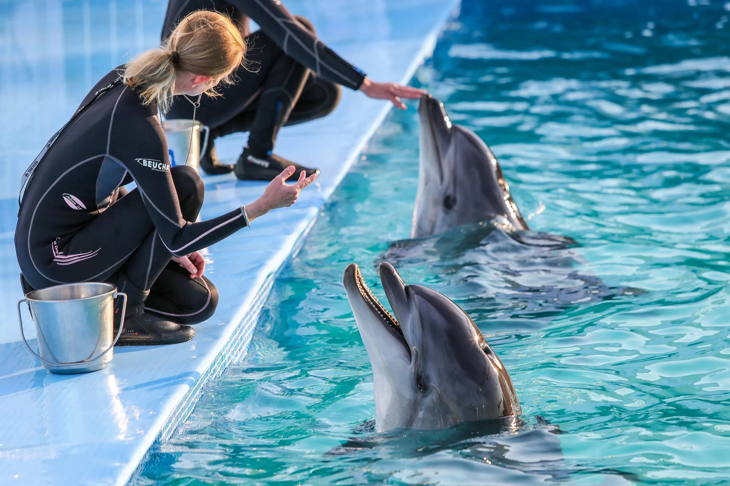 PRIVATE TOUR TO HURGHADA GRAND AQUARUIM AND DOLPHIN SHOW