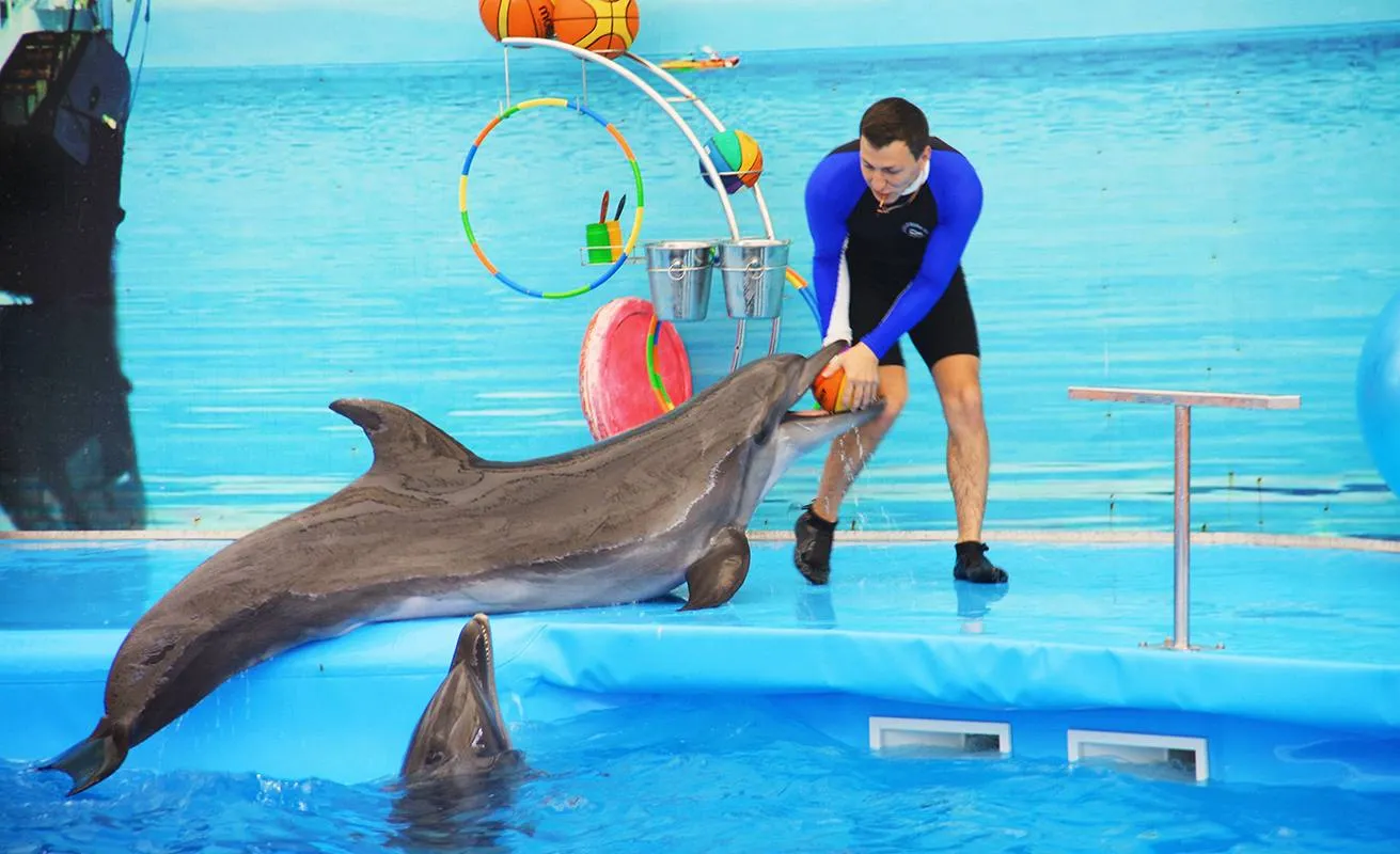 PRIVATE TOUR TO HURGHADA GRAND AQUARUIM AND DOLPHIN SHOW