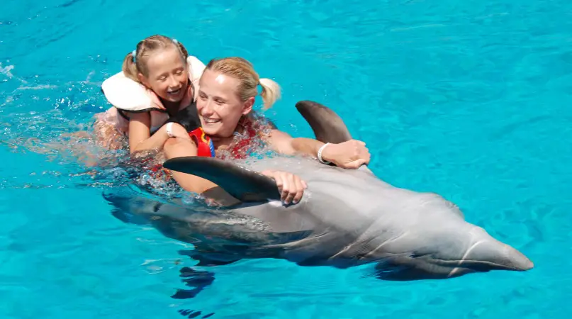 PRIVATE TOUR TO HURGHADA GRAND AQUARUIM AND DOLPHIN SHOW