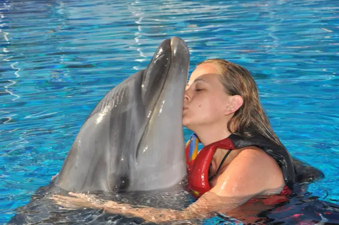 PRIVATE TOUR TO HURGHADA GRAND AQUARUIM AND DOLPHIN SHOW