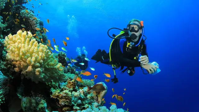 SCUBA DIVING TRIP