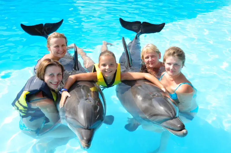 SWIMMING WITH DOLPHINS (5 MINUTES)