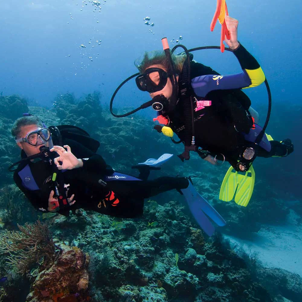 THE ADVANCED OPEN WATER COURSE (2-3 days )