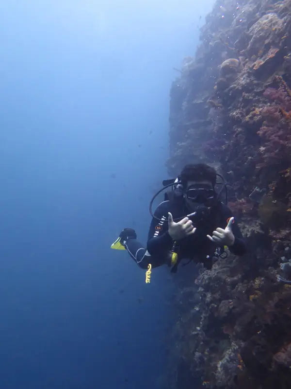 THE ADVANCED OPEN WATER COURSE (2-3 days )