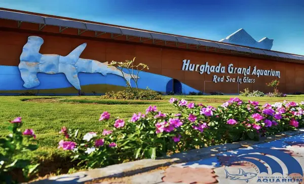 HURGHADA GRAND AQUARUIM