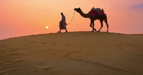 IN THE DESERT