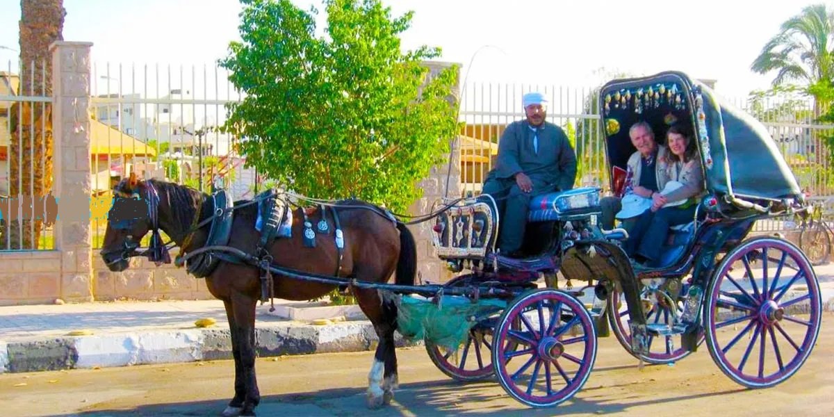 CARRIAGE RIDE IN LUXOR